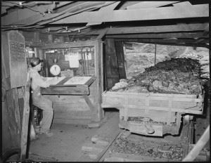 Asbestos & mesothelioma mine