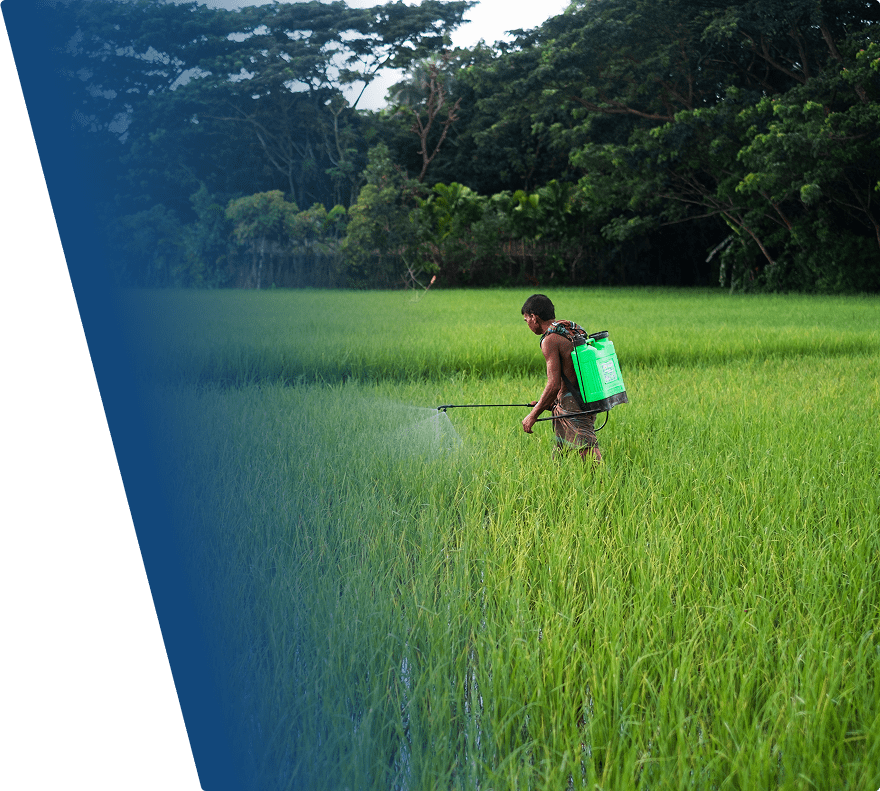 A person wearing a sleeveless shirt and shorts is spraying crops in a green field using a backpack sprayer with a bright green tank. The field is lush with tall grass or rice plants, and dense trees form the background.