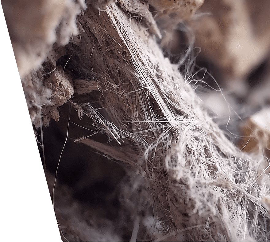 Close-up of fibrous, rough-textured material with fine, hair-like strands and a dusty, earthy appearance. The fibers are intertwined and appear natural, resembling dried plant or root material. The background is blurred, emphasizing the detailed texture of the fibers.