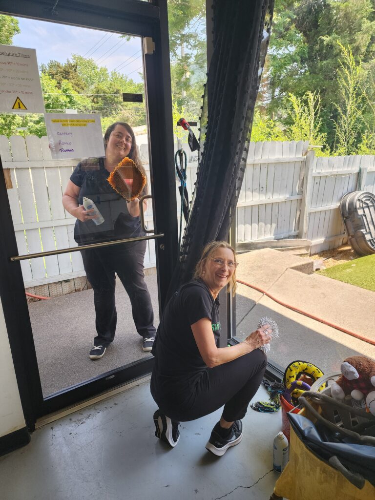 Two women cleaning glass doors; one is outside using a cleaning cloth and spray, smiling, while the other is inside crouching, holding a cleaning tool and also smiling. The background shows a white wooden fence and greenery. Various cleaning supplies and toys are visible inside near the woman crouching.
