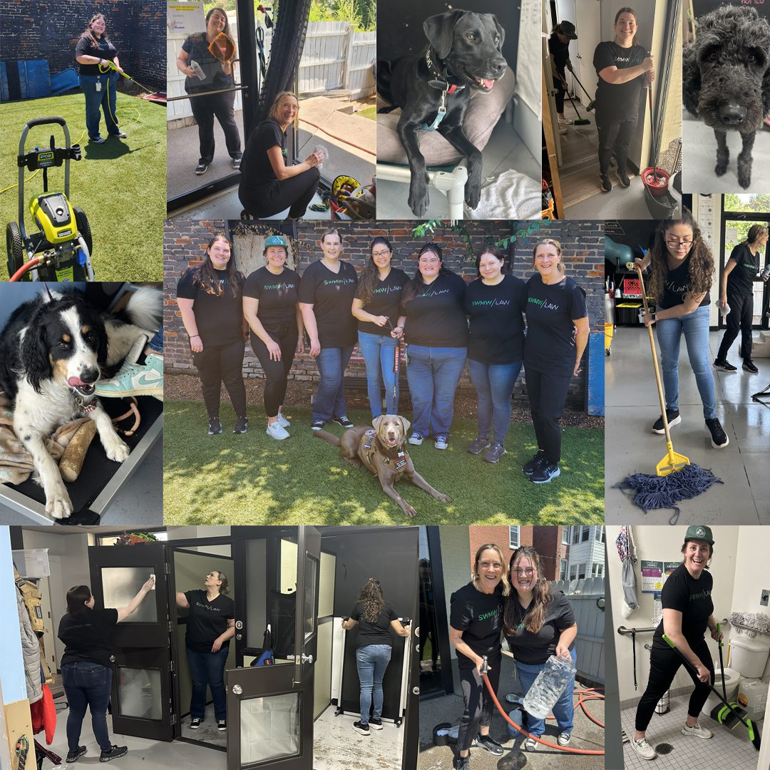A collage of images showing a group of people cleaning and working together, wearing matching black "SWMW/Law" t-shirts. Some are washing windows, mopping floors, and using cleaning tools. There are also several dogs present, including a black dog lying on a bed, a brown dog lying on grass, a black and white dog sitting near shoes, and a close-up of a curly black dog. The group appears cheerful and engaged in their tasks, with outdoor and indoor settings visible.