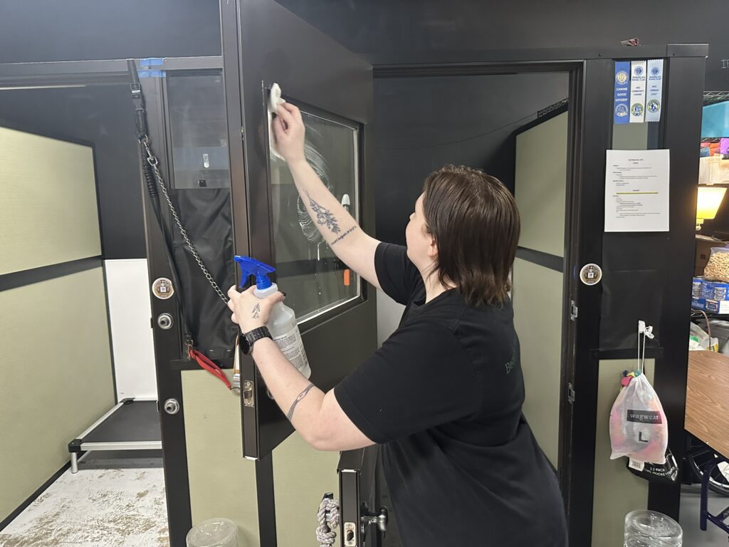 A person with short brown hair and tattoos on their arms is cleaning the glass window of a black metal-framed door using a spray bottle and a cloth. The person is wearing a black t-shirt and a black watch. The door has a chain leash hanging on the left side and several ribbons and a paper attached to the right side. There is a mesh bag labeled "wagwear" hanging on the door handle. The background shows a room with beige and black walls and a raised platform.
